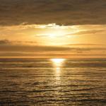 Cambria_0173 (November 04, 2017)